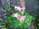 Fotogr.1110