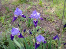 Fotogr.1122