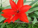 SAM_3864