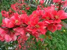 SAM_3874