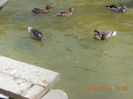 DSCN3767