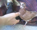 IMG0259A
