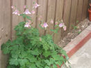 DSCN8436_3901