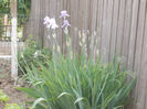 DSCN8437_3902