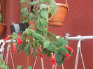 DSCN8434_3899