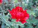 DSC02330