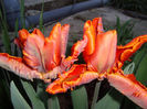 DSC08383