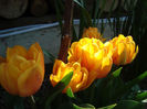 DSC08375