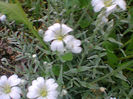 Fotogr.1148