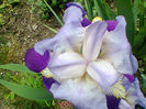 Fotogr.1151