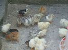 DSCF6563