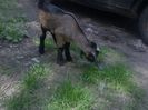 IMG0973A