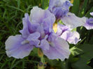 DSCN4350