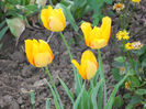 DSCN4357