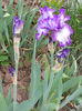 DSCN4363