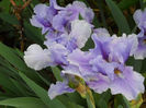 DSCN4374