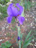 DSCN4380
