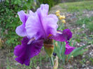 DSCN4382