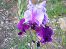 DSCN4393