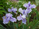 DSCN4397