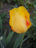 DSCN4405