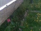 06052013(019)
