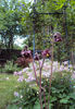 DSC03444