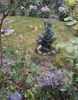 DSC03510