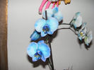 12.Orhideea albastra3