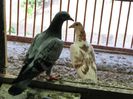 IMG_2461