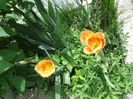 DSC01522