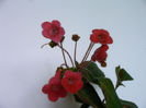 IMAG0032