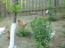 Picture 001
