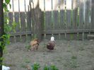 Picture 008