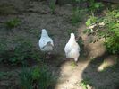 Picture 011