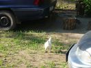 Picture 037
