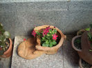 DSCN2164[1]