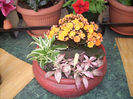 DSCN2170[1]