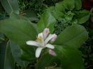 DSCN2181[1]