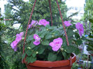 DSCN2182[1]