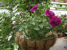 DSCN2178[1]