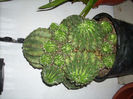 DSCN2203[1]