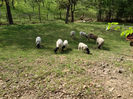 poze may 2013 003