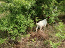 poze may 2013 013