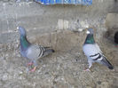 DSCF5662