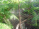 SANY0043