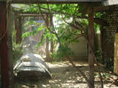 SANY0075