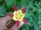 Fotogr.1167