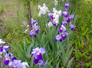 Fotogr.1180