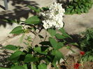 DSC00326